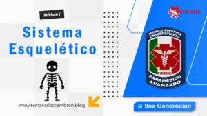 Portada de entrada a Sistema Esquelético