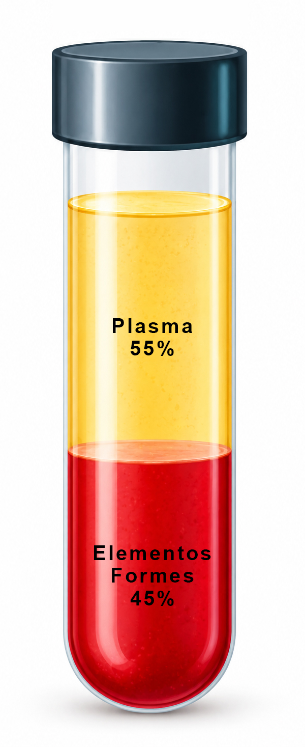 Tubo de muestra sanguínea mostrando plasma sanguíneo y elementos formes separados.